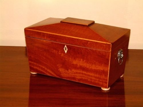 victorian satinwood tea caddy